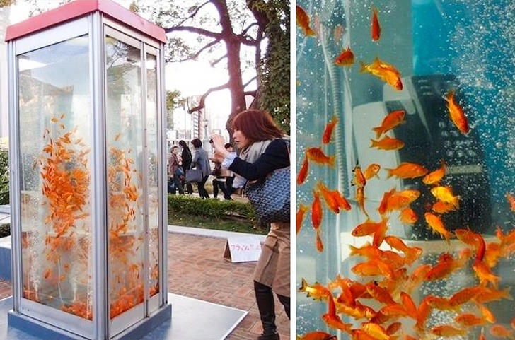 ���������� �����, ������� ����������� � �����