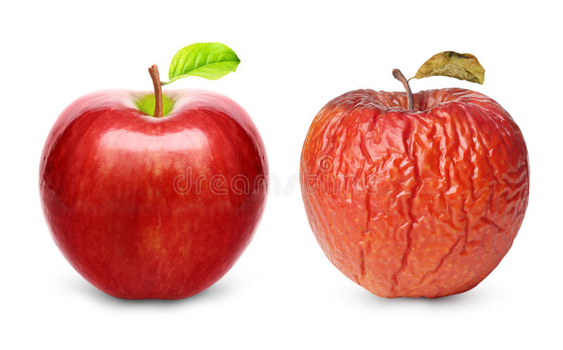 ����������� �������� ��������� ������ ���������: ������ ������� ��� ���. ���������� ���������. ������ ��������� ����� ���������� ����������. ���� �� 25 ������.