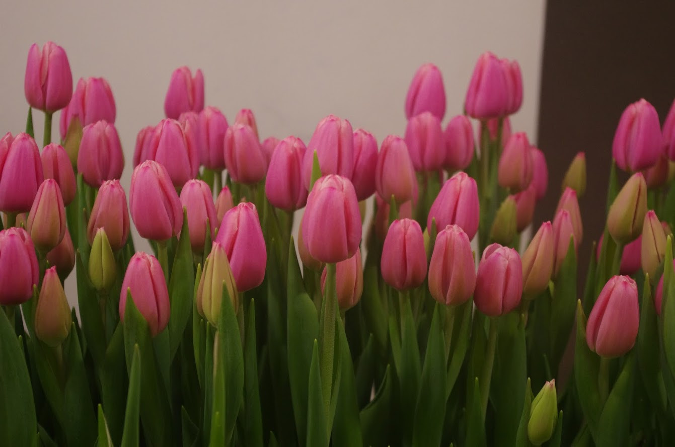 ���� �� 01.03. ���� �������� � 8 �����! ������� � ������ ������������ �����.������ ��������! 4 ��� �� ��. ����������