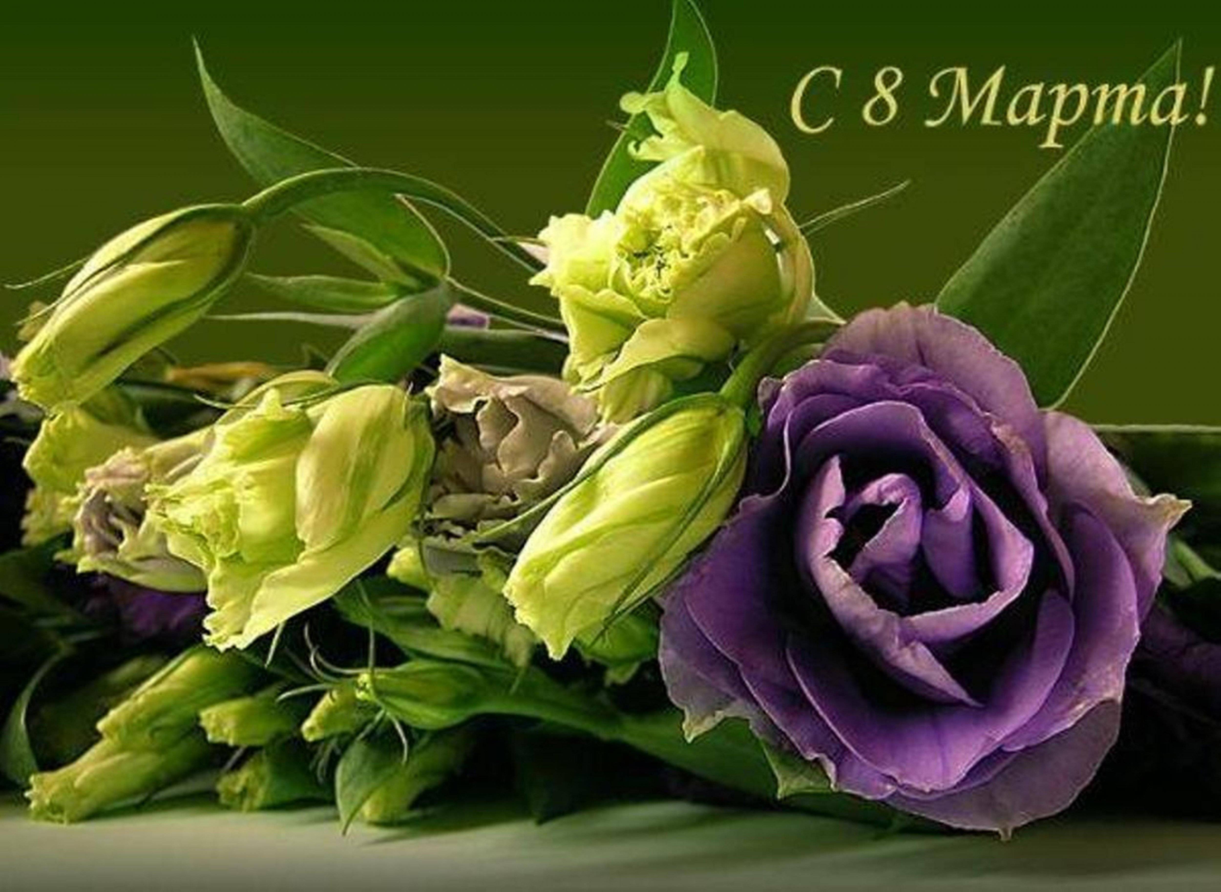 ������� � 8 �����