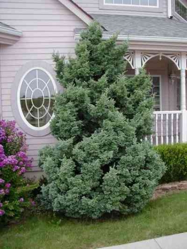 ����������� �������� ������ ����� �� ������ - ����������� ������������� ������� - ������� ���ϣ������ ���������� ������!