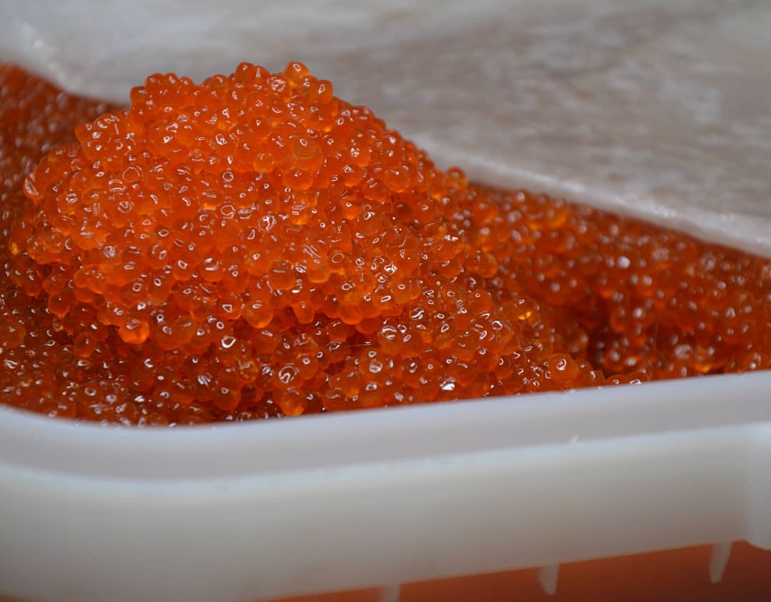 15 ����� ������� ���.������� �� ���� � �� ����������, ��������� � ��������� 1