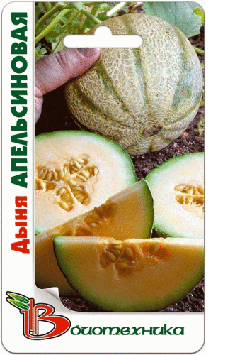 ���� �� 16.02. ������ �� �������� ����������. ������ � ����� � �������� ��������� ��� �������.