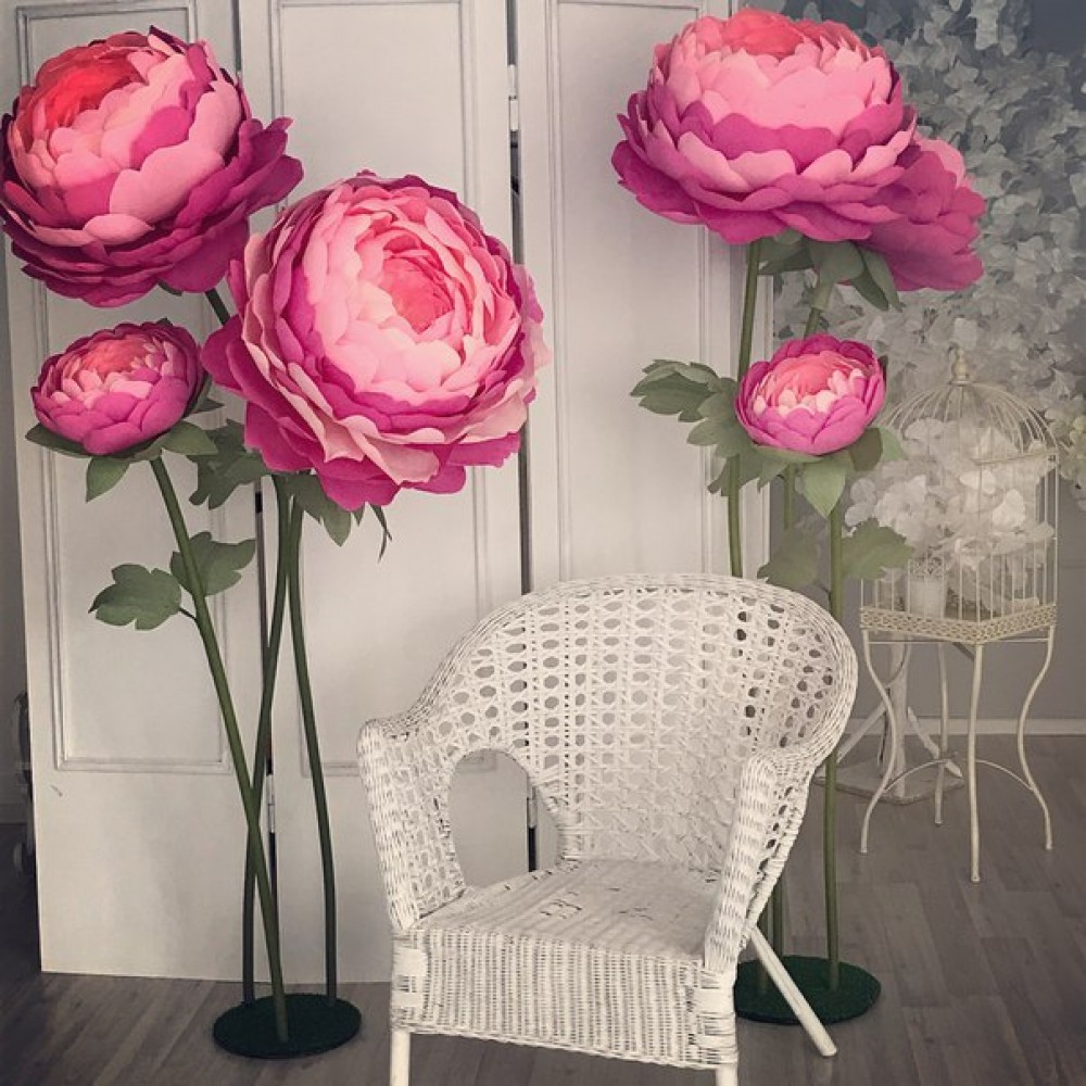 ���� �� 27/02. ��� ���, ������� ����� 42 ������. ����� 5. 