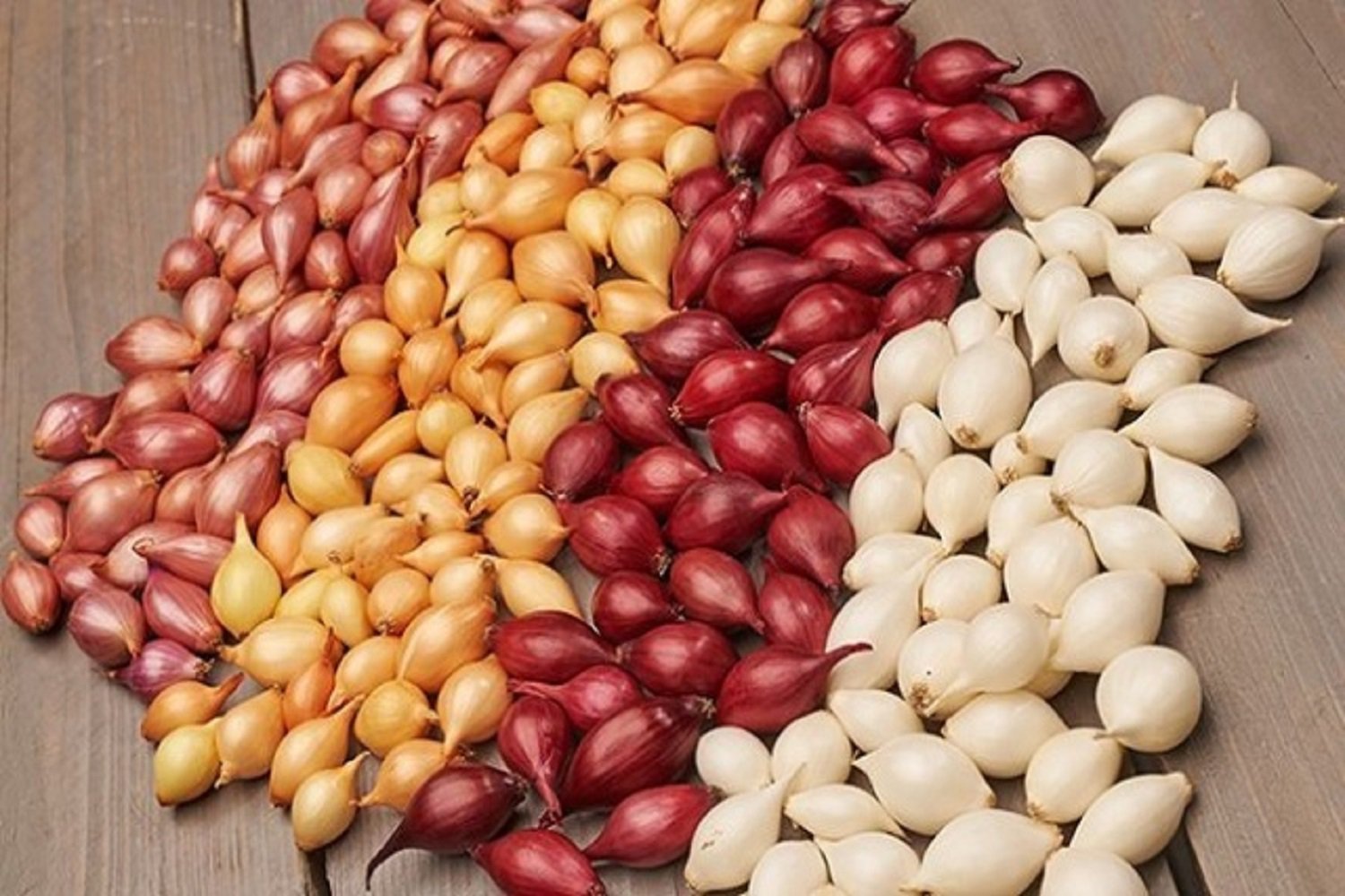 ���� �� 29.02. ���-�����. ����� 1-2020.