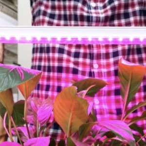 ���� ������� 03.03. ���������� � ������! ��������������� 600��, 900��, 1200��! �� ����� �������������!