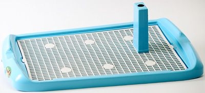 ������ ��� ����� � �����. ������� 14.03.