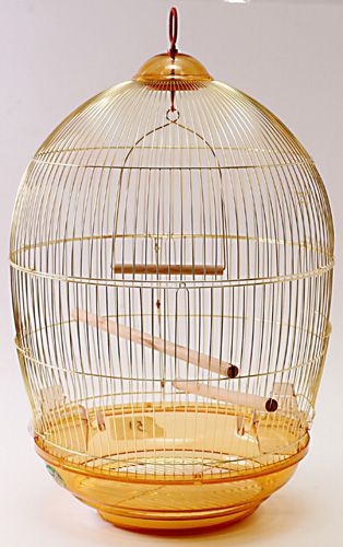 ������ ��� �������� � ����. � ����� ������� ��������������. ������� 14.03.