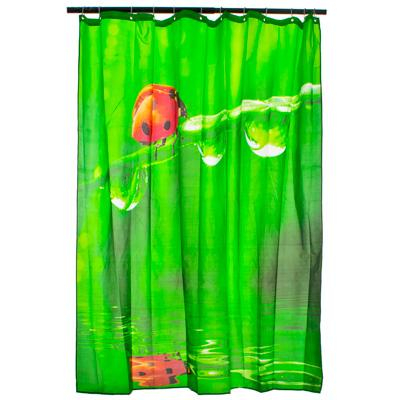 ���� �������. ����� ��� ��������, �������. ����� ��� �����, ������� � ������� ��� ������ 2/20