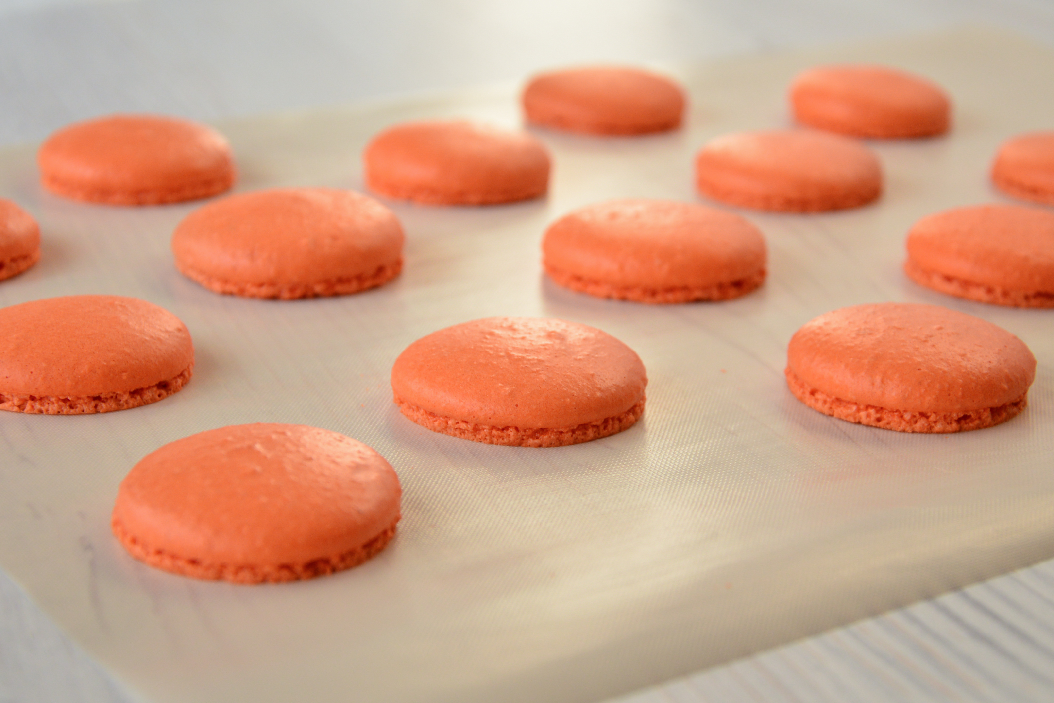 ���������� ������� - ��� ����� �������� �������� � �������� ������! ������� ��� ����� � ���� - ���������� �������  - ����������  � ������!