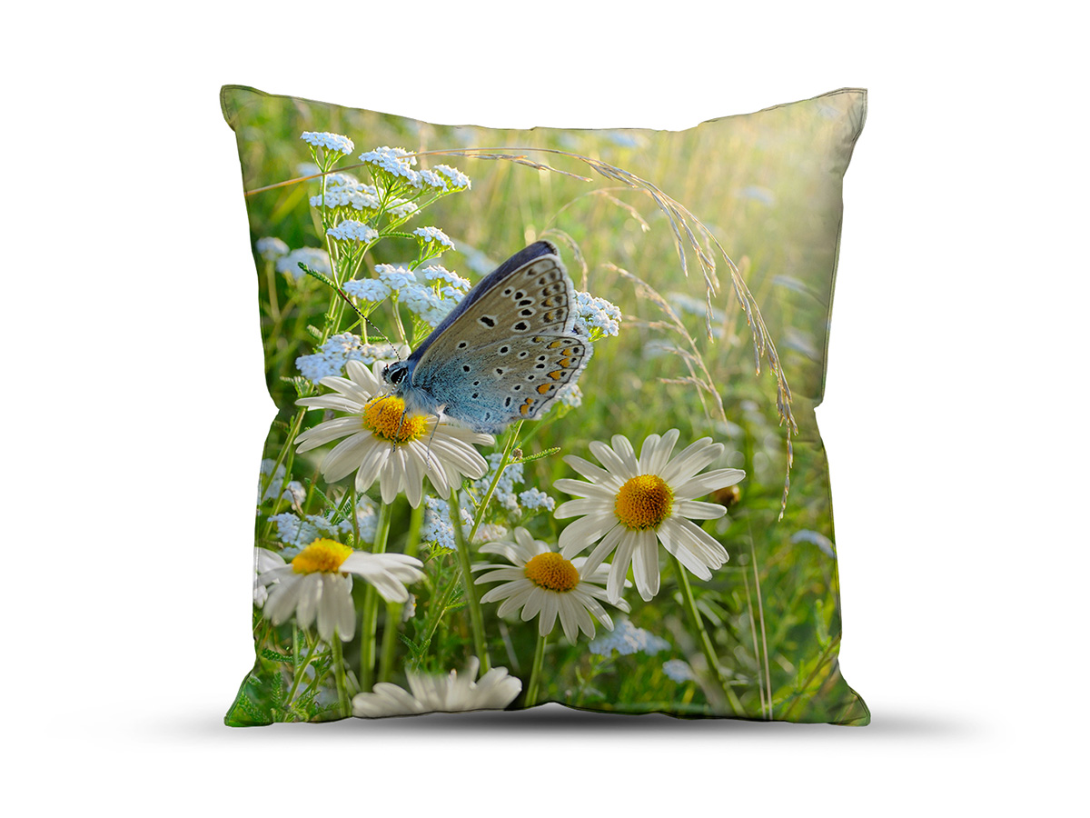 ��� ������ � ����������?! ���������� ������, ������������ �������, �����, ���, ����������� ��������, ��������� ������� ��������. ������� 25 �������, ��� ��!