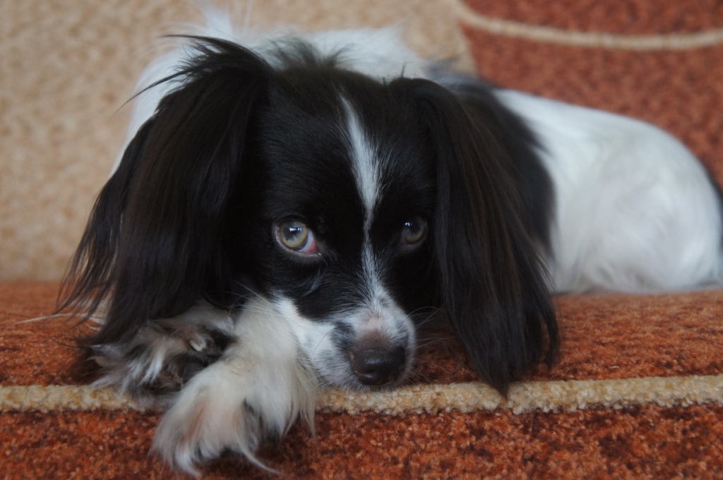 ������ 20.02.20