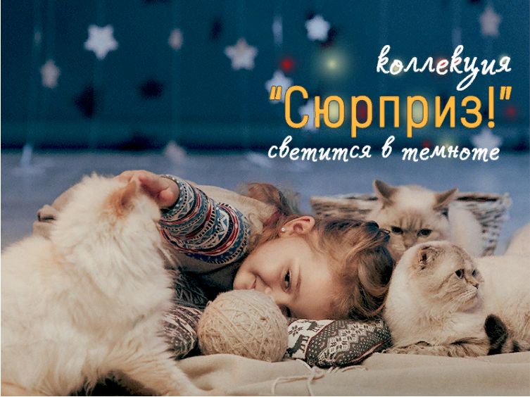 ���� �� 24.02. ������ 3 ���! ����� ��� ��� �� ����. ������ ���������� ������������ ������� ������ ������� ������. ���� �����!