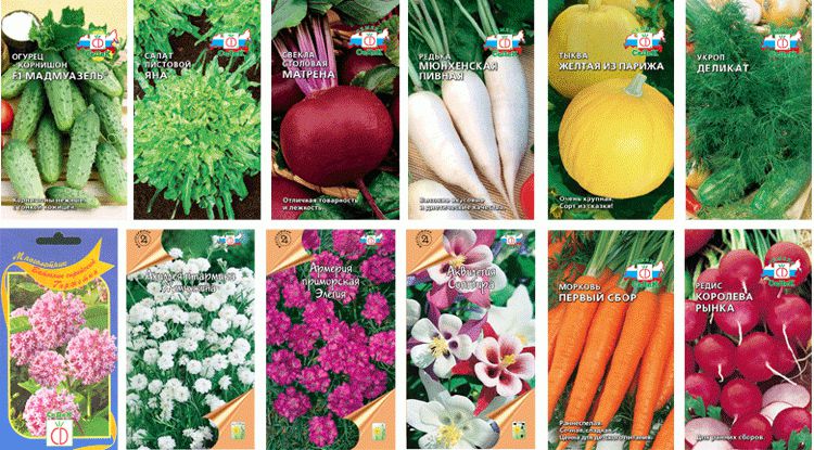 ������ � �������. ��� 3%