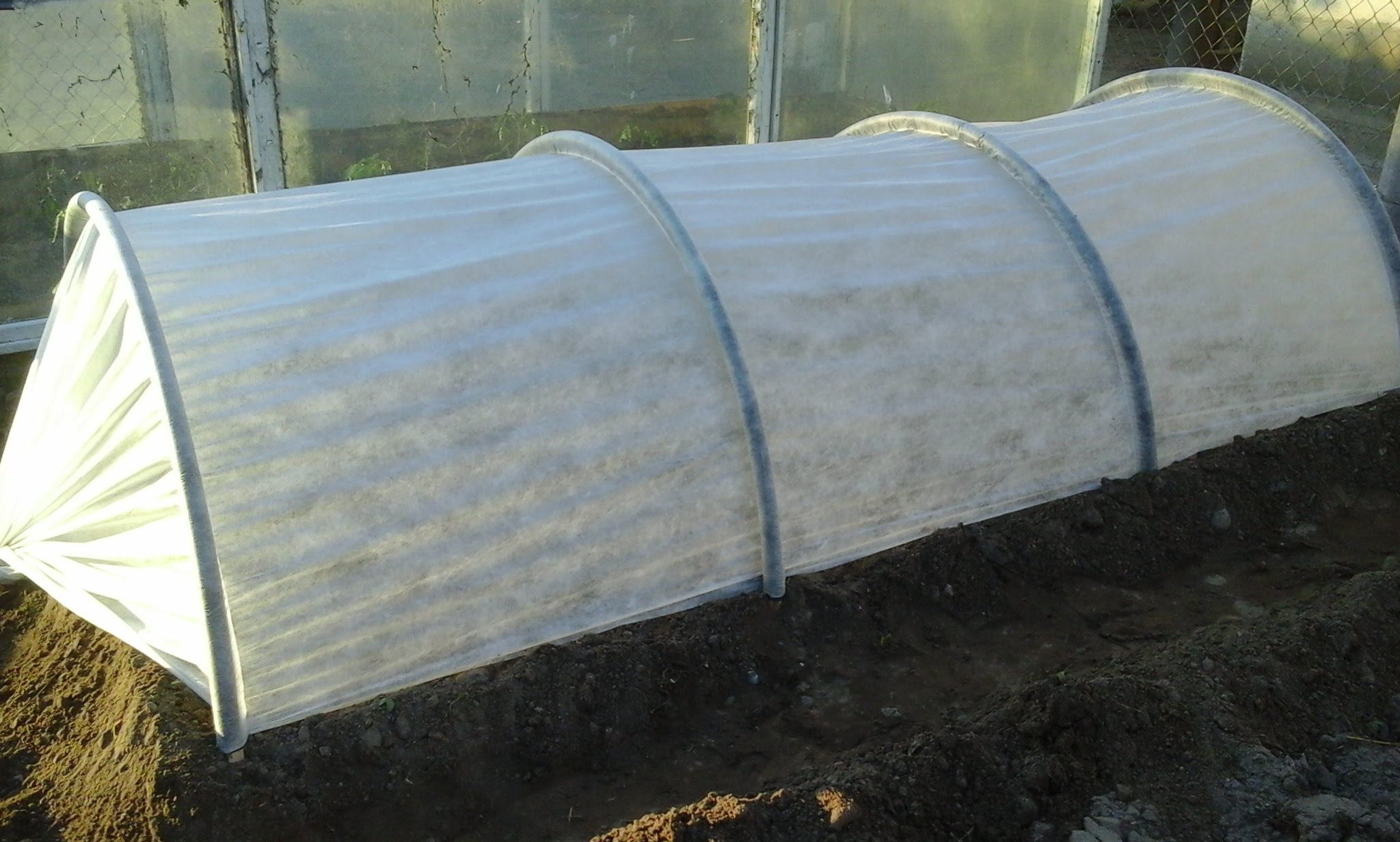 ����� ���� �� ���������/������/����������/���������.