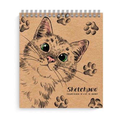 ���� �������. ��� �����: �������, ��������, �������,  �������, ������, ���������� ��������������. ������ ����, �������� ��������. 2/20