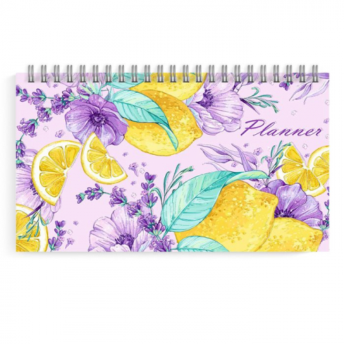 ���� �������. �������� ������, ��������, �����������, ��������. ���������� ����� � 8 �����. ������ ����, �������� ��������.2/20