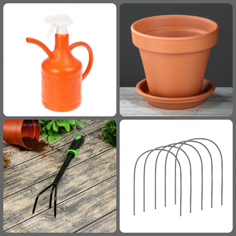 ���� ������� �� 04.04. ������� ��������. ������� �����, ������������ ��� ������, ���������, �������, �������� ��������