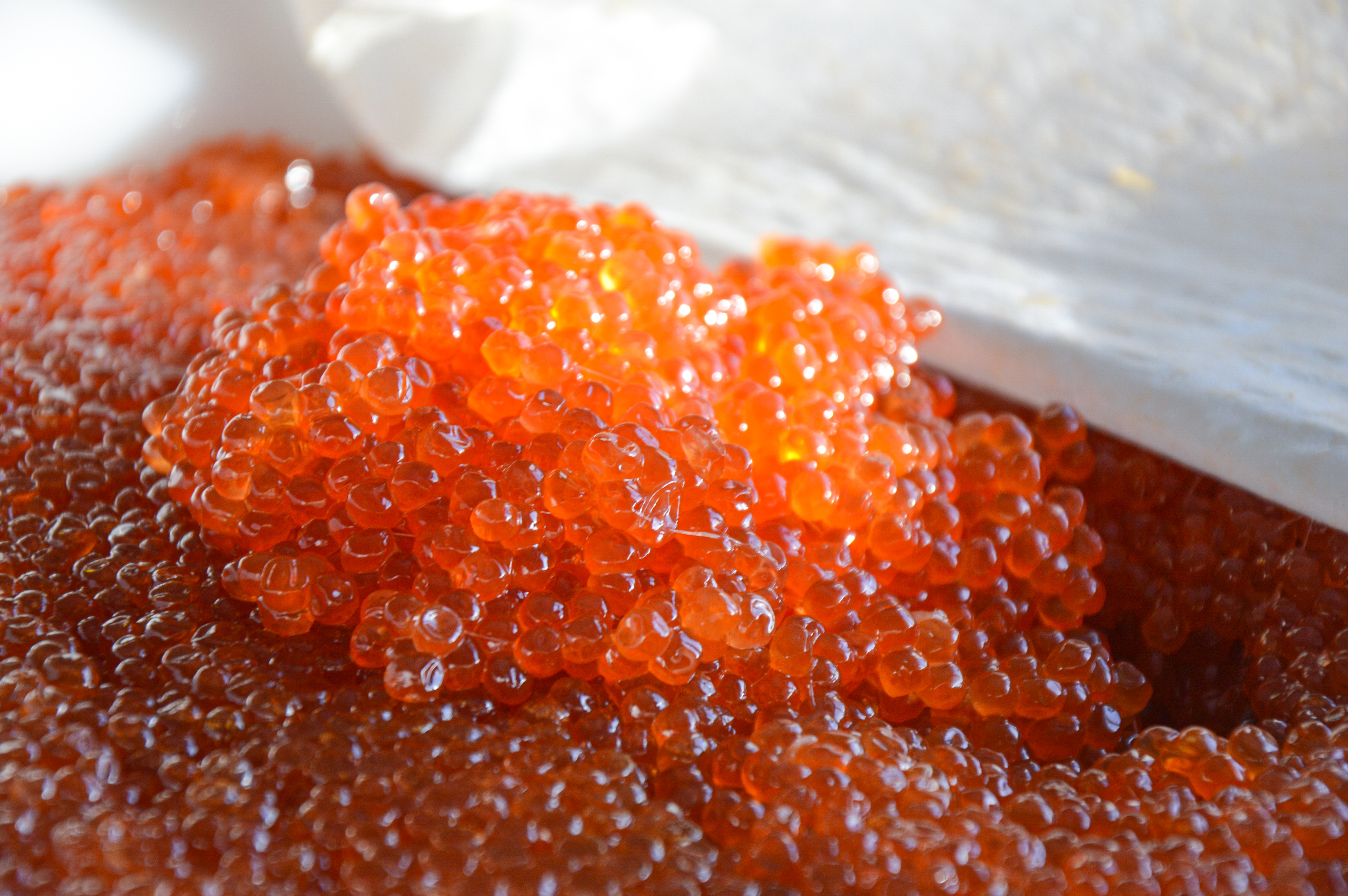 ������� � �������� �� ������� ����, ������ �� �� ������, � �������!