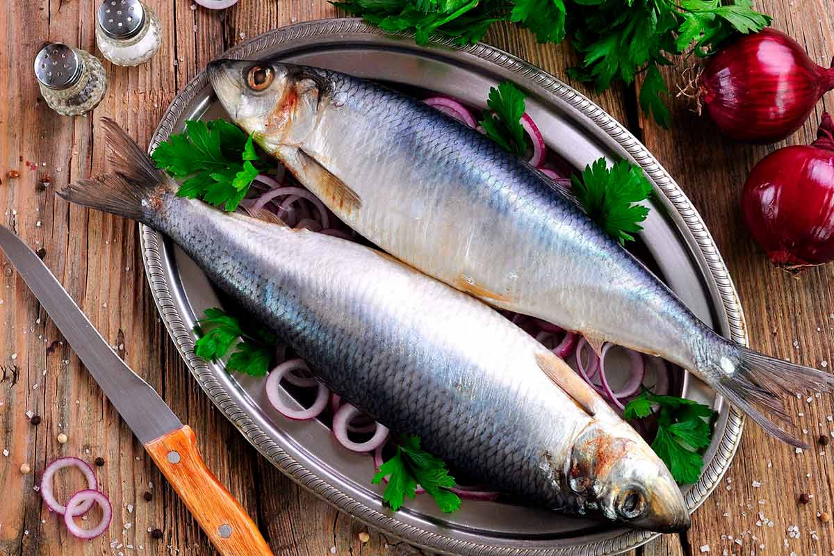 ���� �� 10.03. ������� ����������� ������������ � ����� ������� ���� � ������������� 58! � ����������� � ����� � ������� ������. �������������� ����, ������� ����,��������, ����������, ������, ����, ����, ������. ��������� ���� � ����� ����