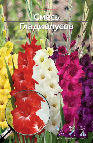 ���� �������. ���������� ������ ����.����������� (������� ����) �� 05.03.