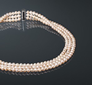 ��������! �������� �� ������� �065�40��� ������� �������� �� �������� ������������� �������, � ������ �� ���������� ������. ������ ������������ ����� AA (�������) ���� ������� ������� �� 6 �� 6.5 ������ ��������� ����� ���� 2 847 ���+���