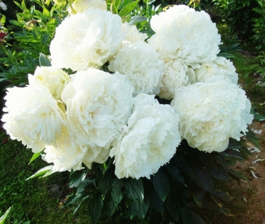 ���� ������� �� 30.03. ��������� ������. ��������� �� ����� 2020 ����!   