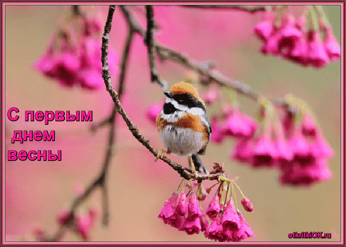 � ����������!