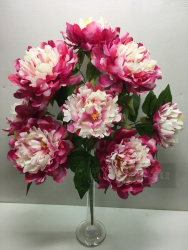 [b]���� �� 20.03. ��������� � ����� ! ������������� ����� , ������ �� 8 ��� , ��������� ����� �� 4 ��� . ����� ��������� �������� �� �������������! ��������� ������� � �������� ����� ������ ![/b]