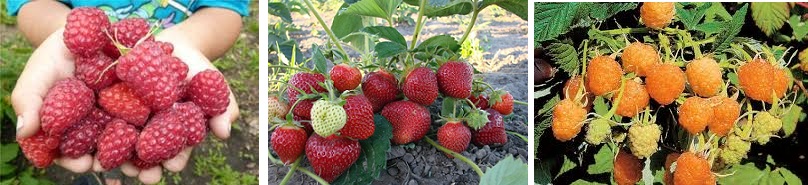 ���� �� 10/03. ���������. ��������� ������� (��������) � ������. �������� �������� �������.