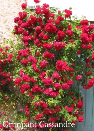 ���� �������. ���� ������ ��������� 6. (���� �� �������� � ����������) �� 12.03