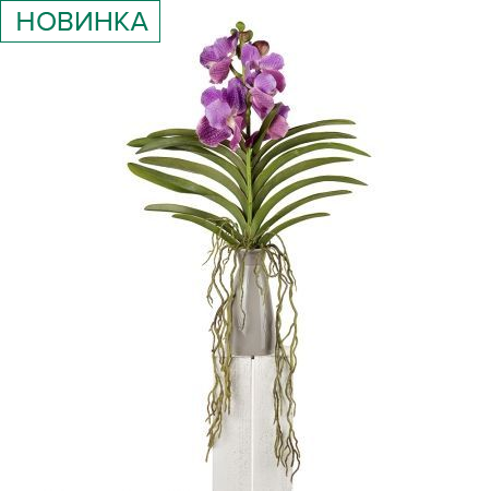 ���������� ����� �������!!!