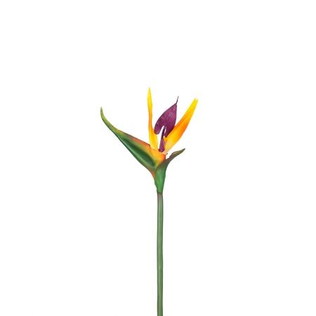 �������, ����� �������� � ������������ ��������