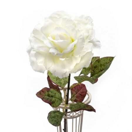 �������� �������� �� ��� ���������, ������� ����� ����� 30 ��, �������� �������!