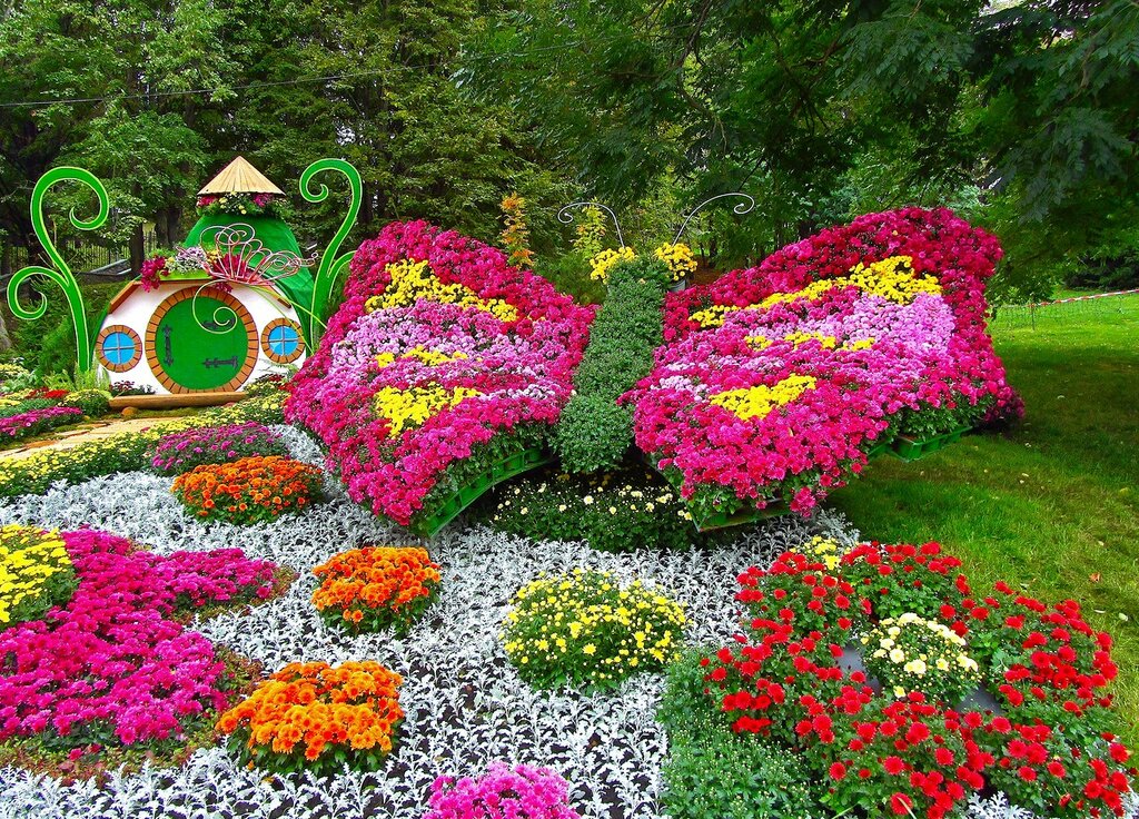 ���� ������� �� 17.03. ���������� �����������, ��������� � ������, ��������������� �����. ��������� �� ���� 2020/2