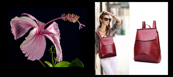 New! �������� ��������� �������, �������,��������