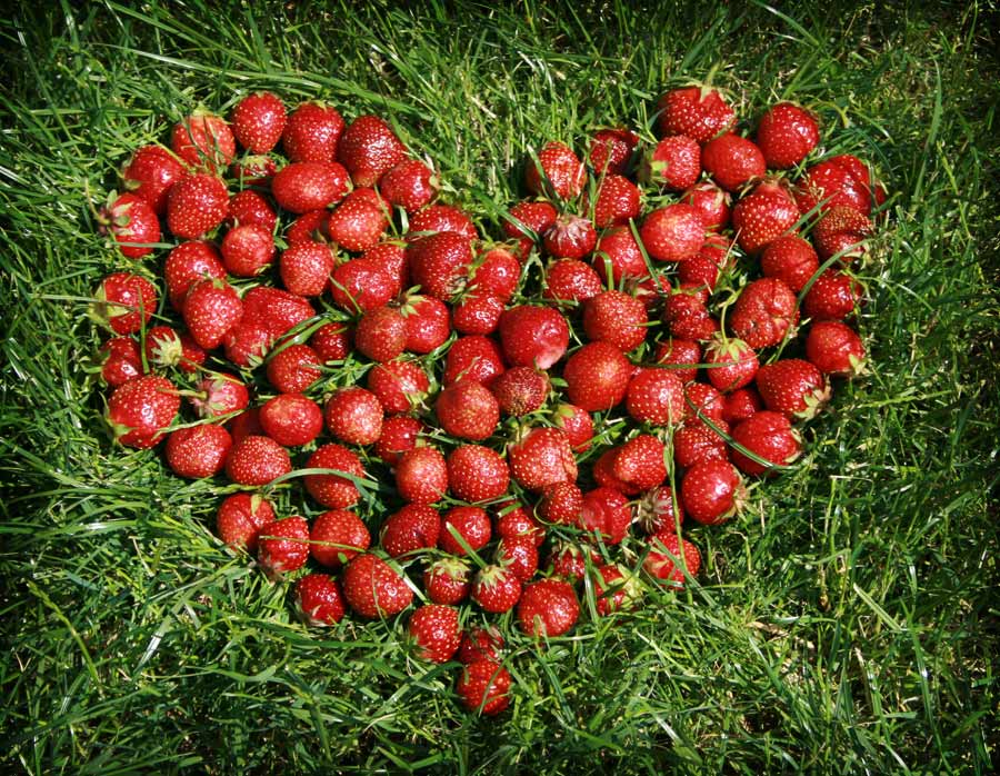 �������� �������� �� ���������. ������� ����� ����� � ��������� � ��������� �������� � �������������� �������� ����� ������!