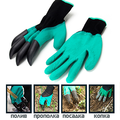 ���� �������. ������ ��� ����. �����, ����������, ���������, �������� ������. ��� ������ �������� � �������   1/20