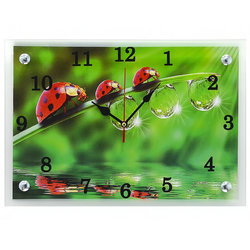 ���� �������.���� ��������� ,���������� ,����������, ���������.����� �������� ����� ����� �� ����� ������ �����!�������� � ������ ���������, �� ����� ���� � ������� !����-�������, ��������� �������.���57