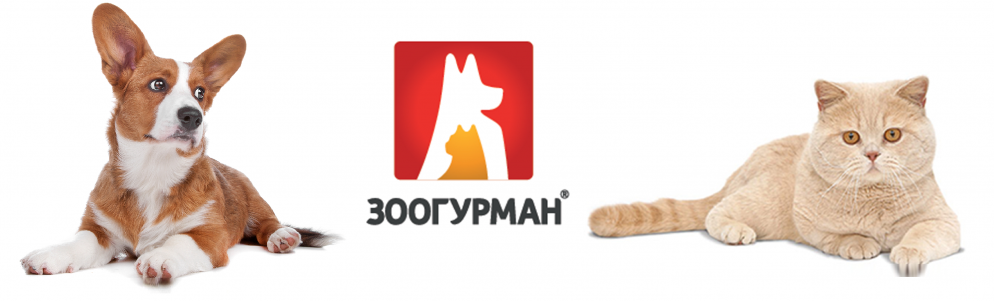 ���� �������.��������� ���� ��� ����� � �����. ���������� �������������, �������� �������� ��� ����������� ��������� � ����������� ����������.����� 1+1 �� ����� � ������� ���� ��� ����� �����17