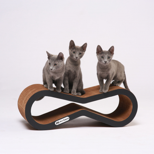 ���� �������. ���������� ���������� ��� ����� . �������� , ����������� , ����������! ��������� ������� ��� ����, ���������� ����� � ����!