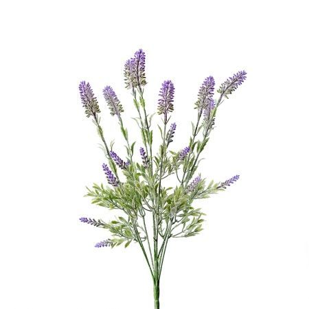 �������� �������