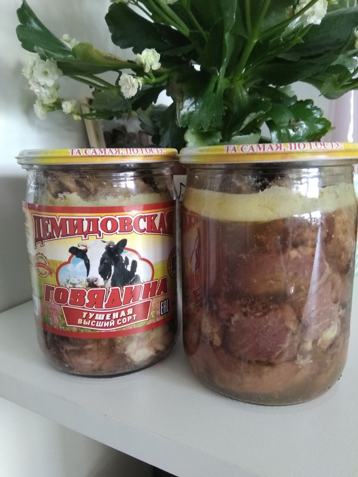 ������ ����� ���. ������� �����!!!!  � �������� ����� ��������� �� ������!! ���� �� 29.03. �� ���� ������� �� ����. 160 ������ �� 500 ������� ���������� ���� ��������!