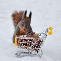 ����� 6 ����! ���� ������� � �����������. ���������� �������� ������������ � ����������� �����!