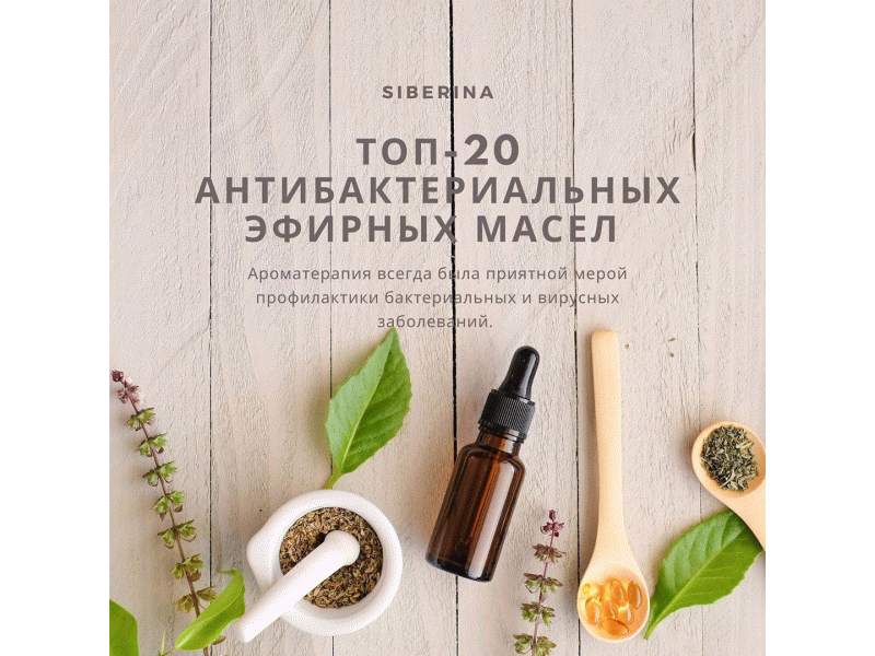 ������� ����� ������� ����� �� ����������� ��������� Siberina! 