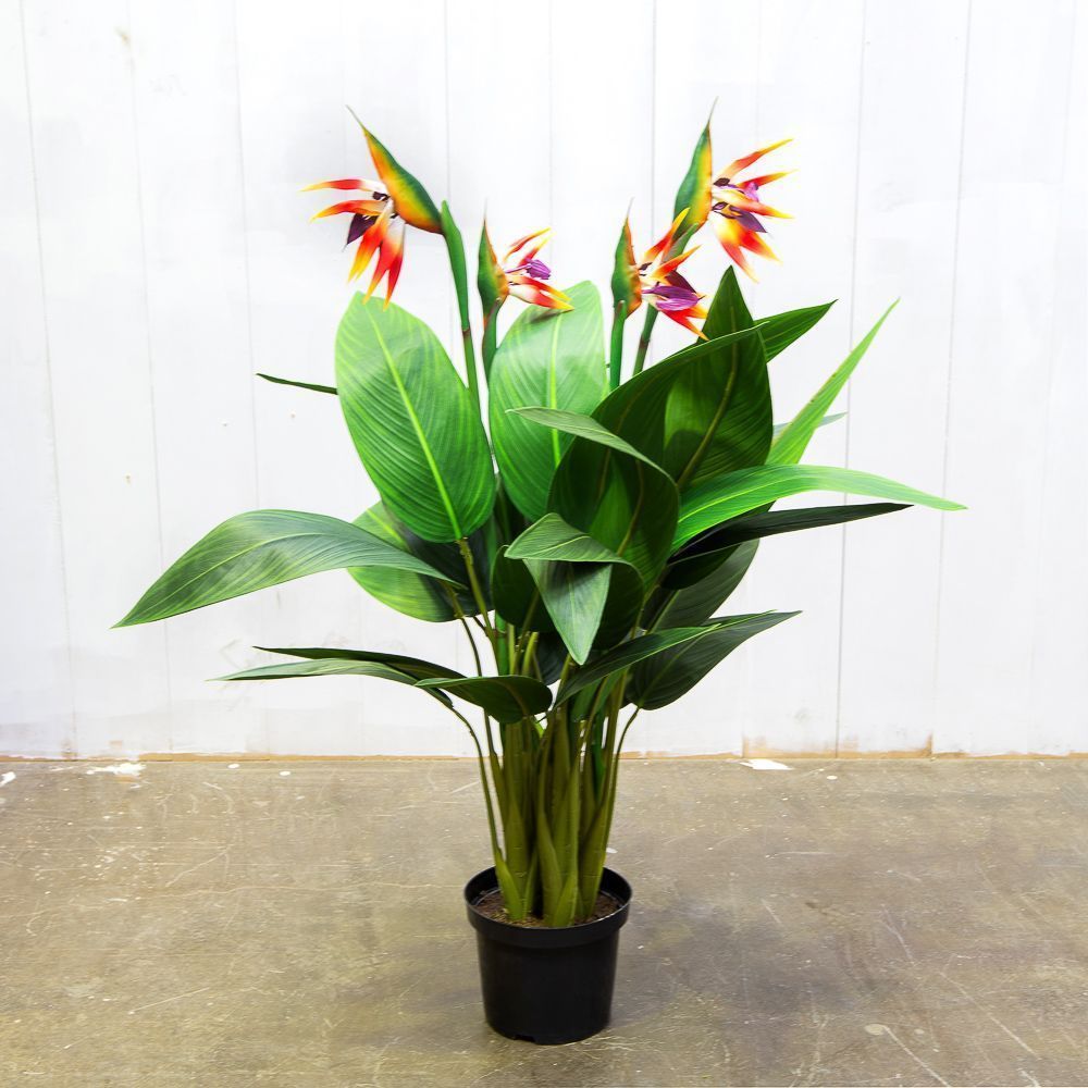 ������������� �������� �������� ������ ����������, �������� ��������� �������� ����� � ����������� ���!