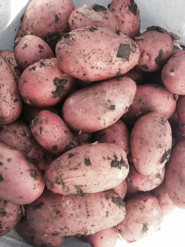 ���� �������. �������� ��������� 9 (�������). �� 29.03.