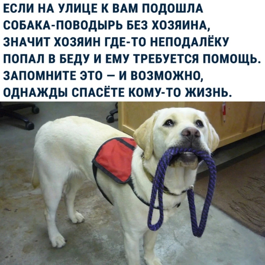 ������� �����!