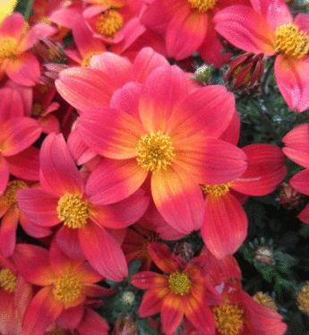 ���� ������� �� 30 �����. ������������ �������, ������, ���������� �����������, ����������, ������������, �������, ���������� � ������ ��������. ��������� �� ����� 2020 ����/3