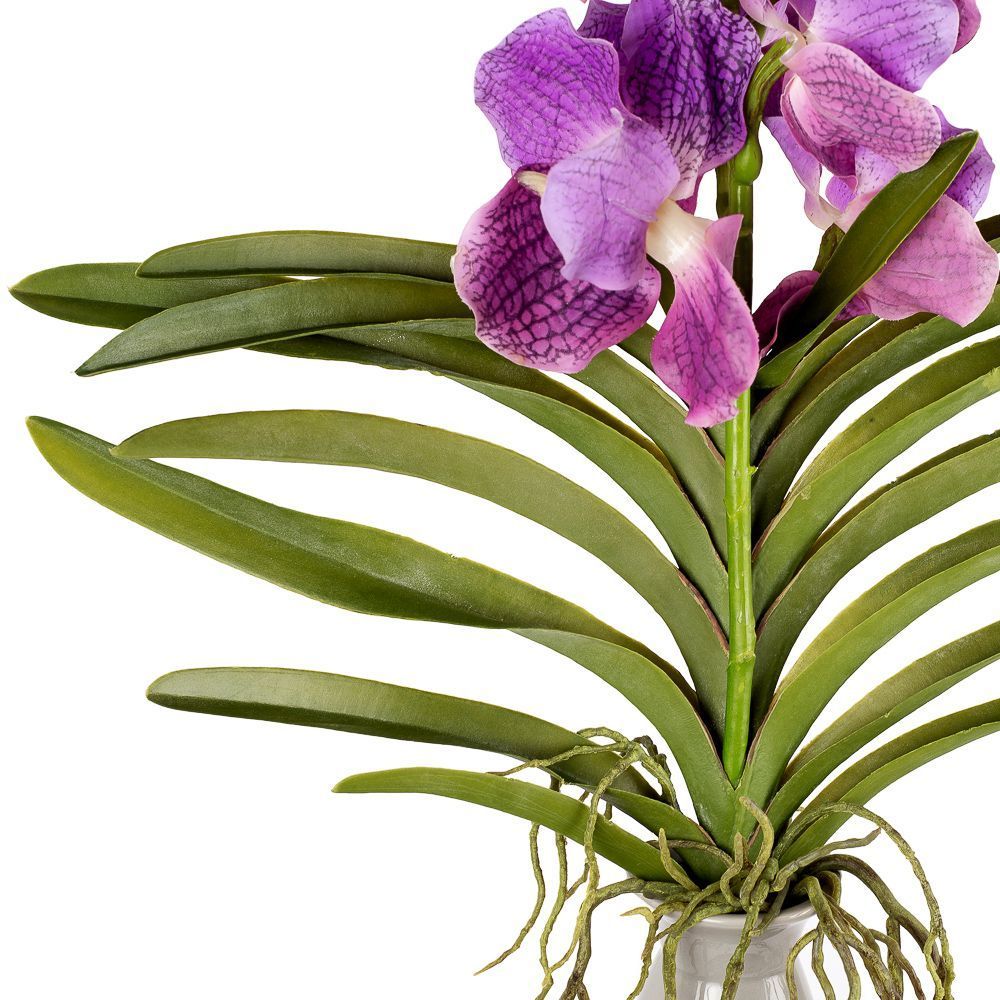 ������ ����� ����� �������� ������ � ������